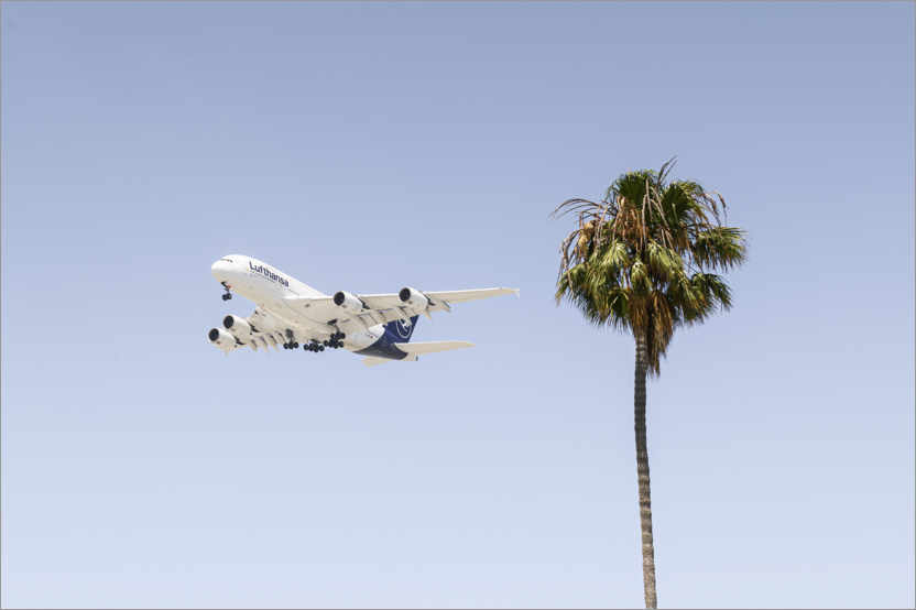 Plakat Airbus A380 over palm trees