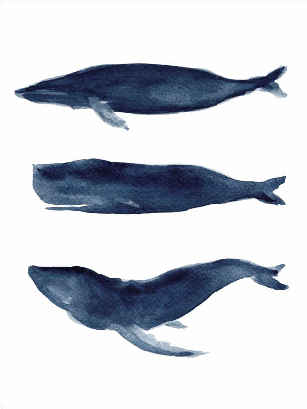 Plakat Whale silhouettes