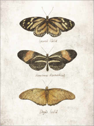 Akrylbilde  Butterflies III - Mike Koubou
