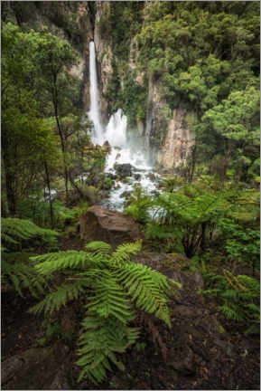 Plakat Ferns and waterfalls