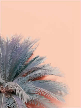 Plakat Blue palms on pink
