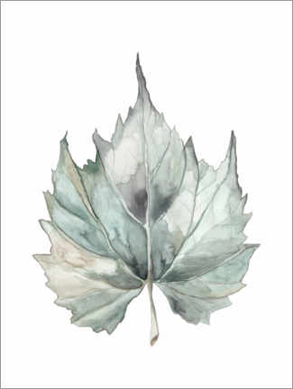 Lerretsbilde  Maple leaf - Mantika Studio