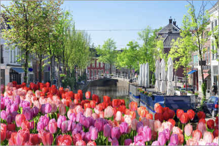 Akrylbilde  Sea of tulips in Amsterdam