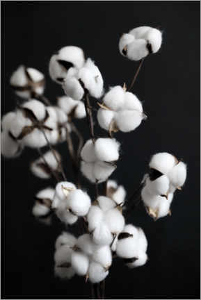 Plakat  Cotton candy floss - dried flowers - Studio Nahili