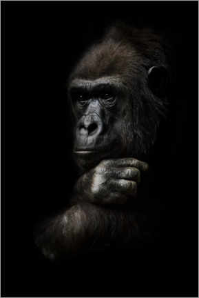 Selvklebende plakat  Pensive gorilla monkey thinking - Mikhail Semenov