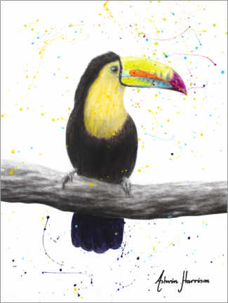 Plakat Talented Toucan