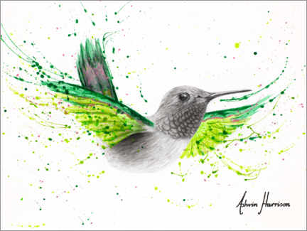 Akrylbilde  River City Hummingbird - Ashvin Harrison