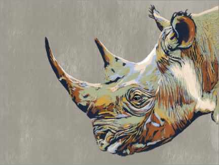 Aluminiumsbilde  Rhinoceros - Studio Carper