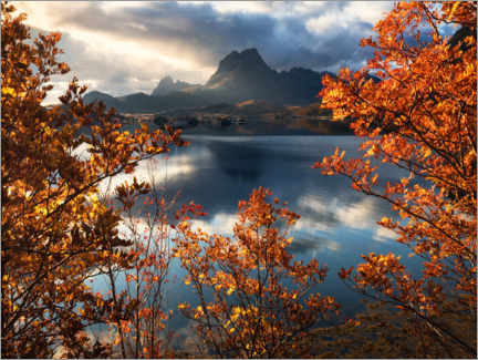 Plakat Autumn morning in Lofoten, Norway