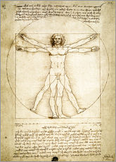 Selvklebende plakat  Den vitruvianske mannen - Leonardo da Vinci