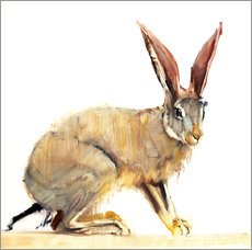 Galleriprint  Hare - Mark Adlington