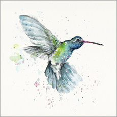 Selvklebende plakat  Kolibrien Flurry - Sillier Than Sally