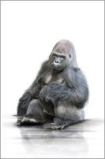 Selvklebende plakat  Gorilla - Werner Dreblow
