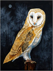 Galleriprint  Barn Owl - Paul Ranson