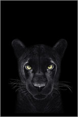 Selvklebende plakat  Panther på svart - Valeriya Korenkova