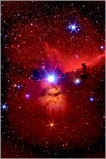 Selvklebende plakat  Horsehead Nebula in the constellation Orion - MonarchC