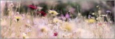 Plakat Panorama of a wildflower meadow