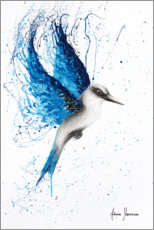Plakat Aussie Blue Bird