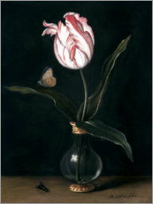 Trebilde  The ?Zomerschoon' tulip - Balthasar van der Ast