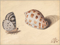 Plakat Butterfly med sjømat