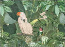 Selvklebende plakat  Jungle Venner - Andrea Haase