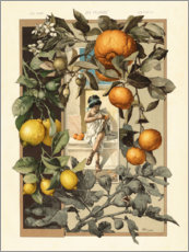 Akrylbilde  Sitroner og appelsiner - Anton Seder
