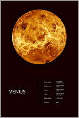 Plakat Venus