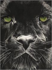 Akrylbilde  Panthers face - Rose Corcoran