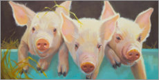 Selvklebende plakat  Life as a Pig I - Carolyne Hawley