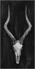 Plakat Impala Skull