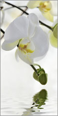 Galleriprint  Wellness, Orchid - Atteloi