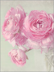 Galleriprint  pink spring - Lizzy Pe