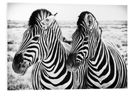 Bilde på skumplate  Two Zebras - Jan Schuler