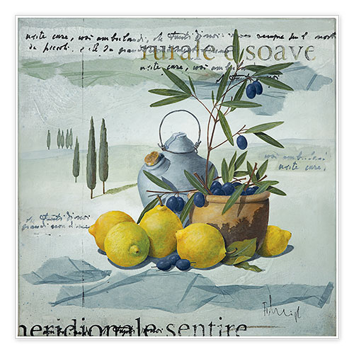 Plakat Südliche Oliven