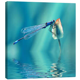 Lerretsbilde  Dragonfly with Reflection - Atteloi
