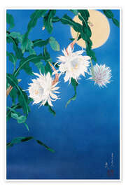 Plakat  Moon Flower - Haruyo Morita