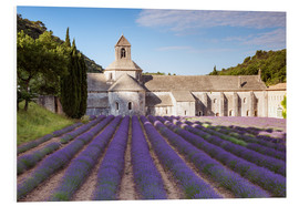 Bilde på skumplate  Senanque abbey, Provence - Matteo Colombo
