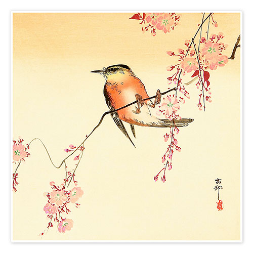 Plakat Red Bird and Cherry Blossoms