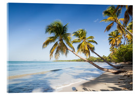 Akrylbilde  Les Salines tropical beach, Martinique, Caribbean - Matteo Colombo