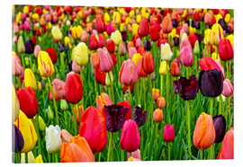 Akrylbilde  tulips in spring - Claudia Moeckel
