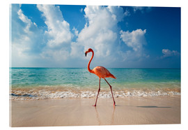 Akrylbilde  Flamingo on the beach - Ian Cuming