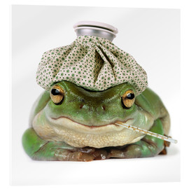 Akrylbilde  Sick frog - Darwin Wiggett