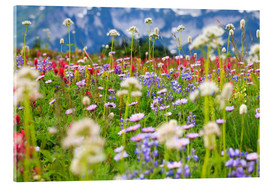 Akrylbilde  Wildflower meadow - Craig Tuttle