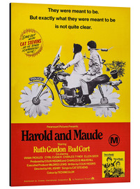 Aluminiumsbilde  Harold and Maude