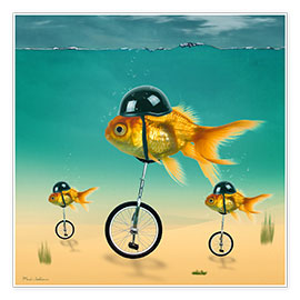 Plakat gold fish