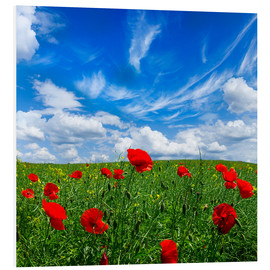 Bilde på skumplate  Red poppies on green field