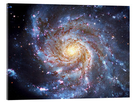 Akrylbilde  The Pinwheel Galaxy at Ursa Major - Robert Gendler