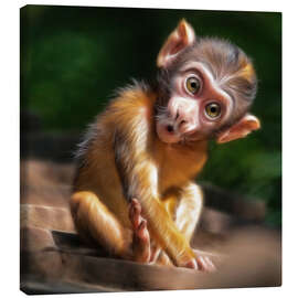 Lerretsbilde  Baby Monkey - Photoplace Creative