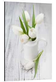 Aluminiumsbilde  Hvite tulipaner på hvitmalt tre