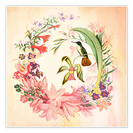 Plakat  Hummingbird I - Mandy Reinmuth